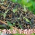 柠檬红茶柠檬茶红茶云南红茶批发价散装500克