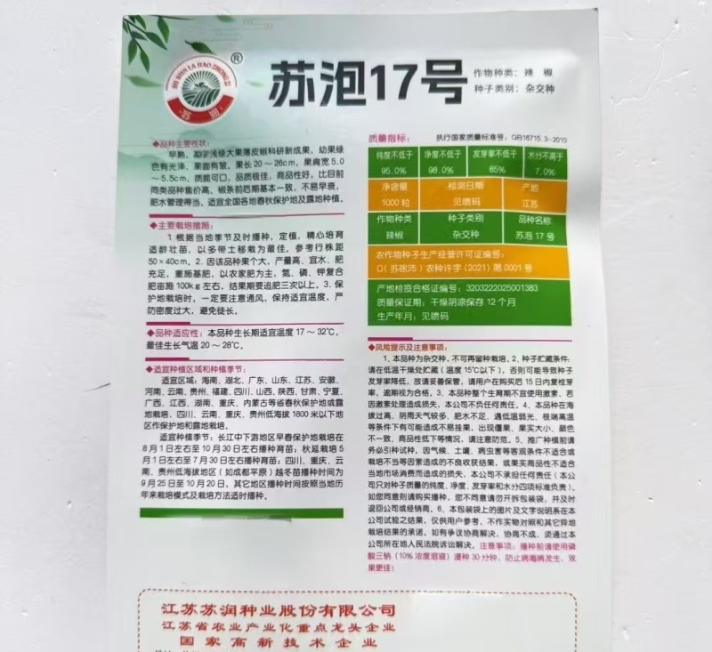 苏泡17号辣椒种子早熟浅绿大果型薄皮泡椒高产抗病辣味中等