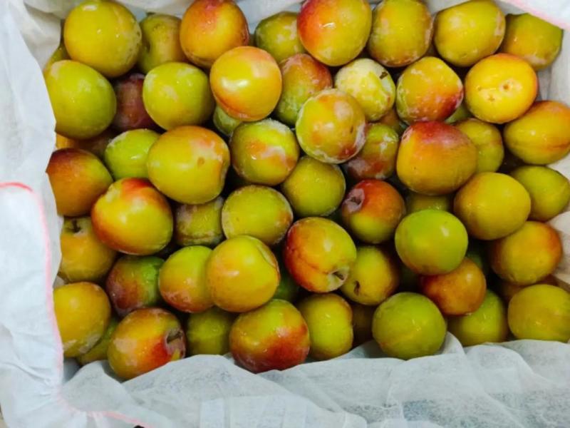 八宝丹，澳洲红，芙蓉李，奈李，出口，电商，市场，