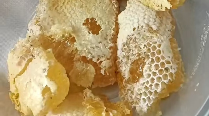原生态土蜂蜜野生蜂蜜土蜂蜜百花蜜山花蜜甜度高