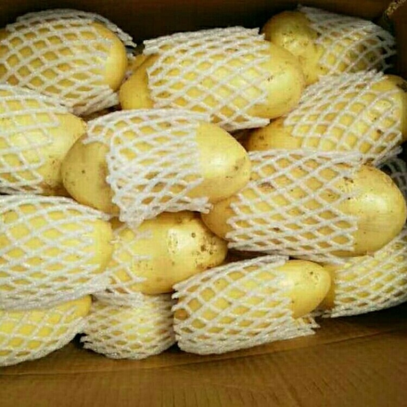 黄心土豆河南精品黄心土豆大量供应电商市场商超产地直发