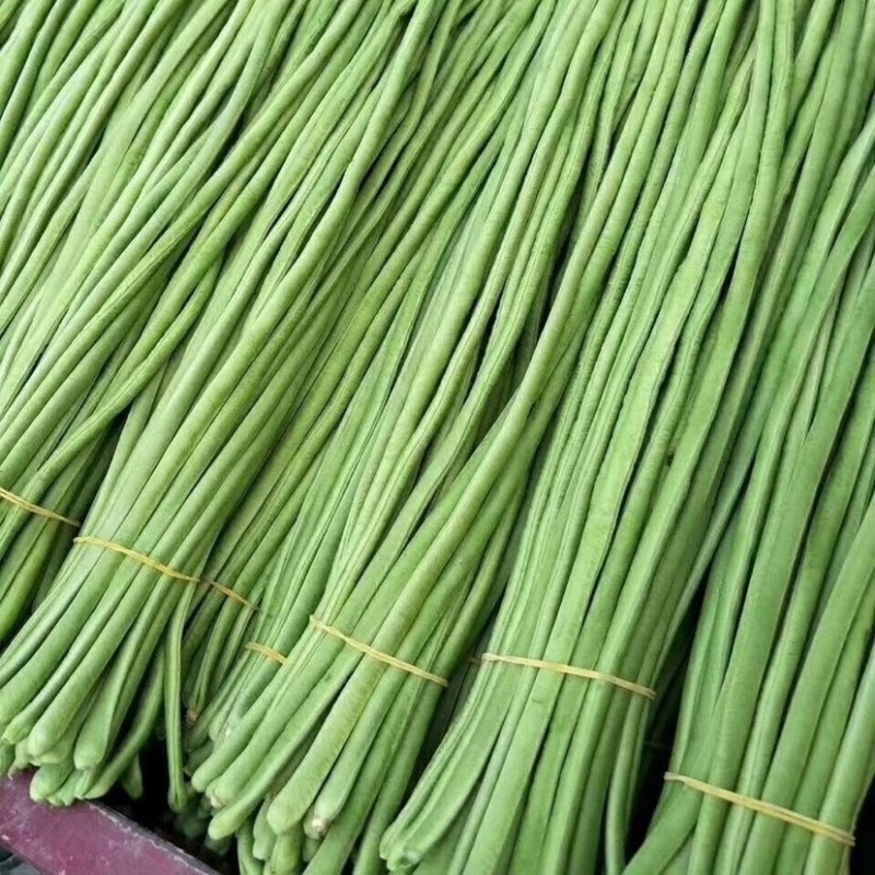 豆角青条长豆角产地直发一手货源，量大从优价格美丽