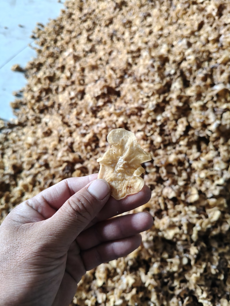 羊肚耳，沙耳农场直销纯单叶片高端出口级高端会所专用高端