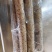 铁棍山药，商超供货，品质保障，精品托盘，产地直供