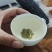 山东滨州全品类鲜食玉米，降价处理，毛毛钱，真空独立包装