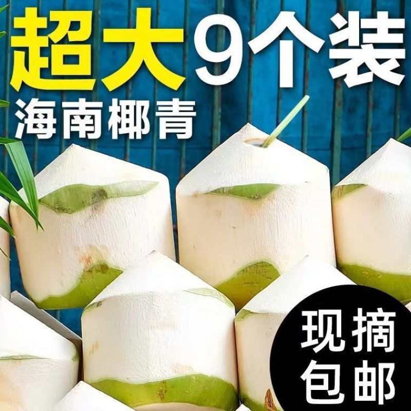 海南椰青椰子黄金椰批发全国发货！一件代发！