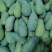 云南大青芒，金煌芒果，青皮金煌，一件代发，质量保证