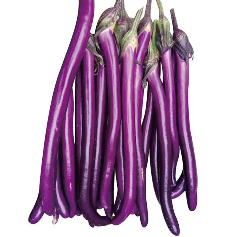 安徽精品线茄/茄子🍆/产地直发量大从优货源充足