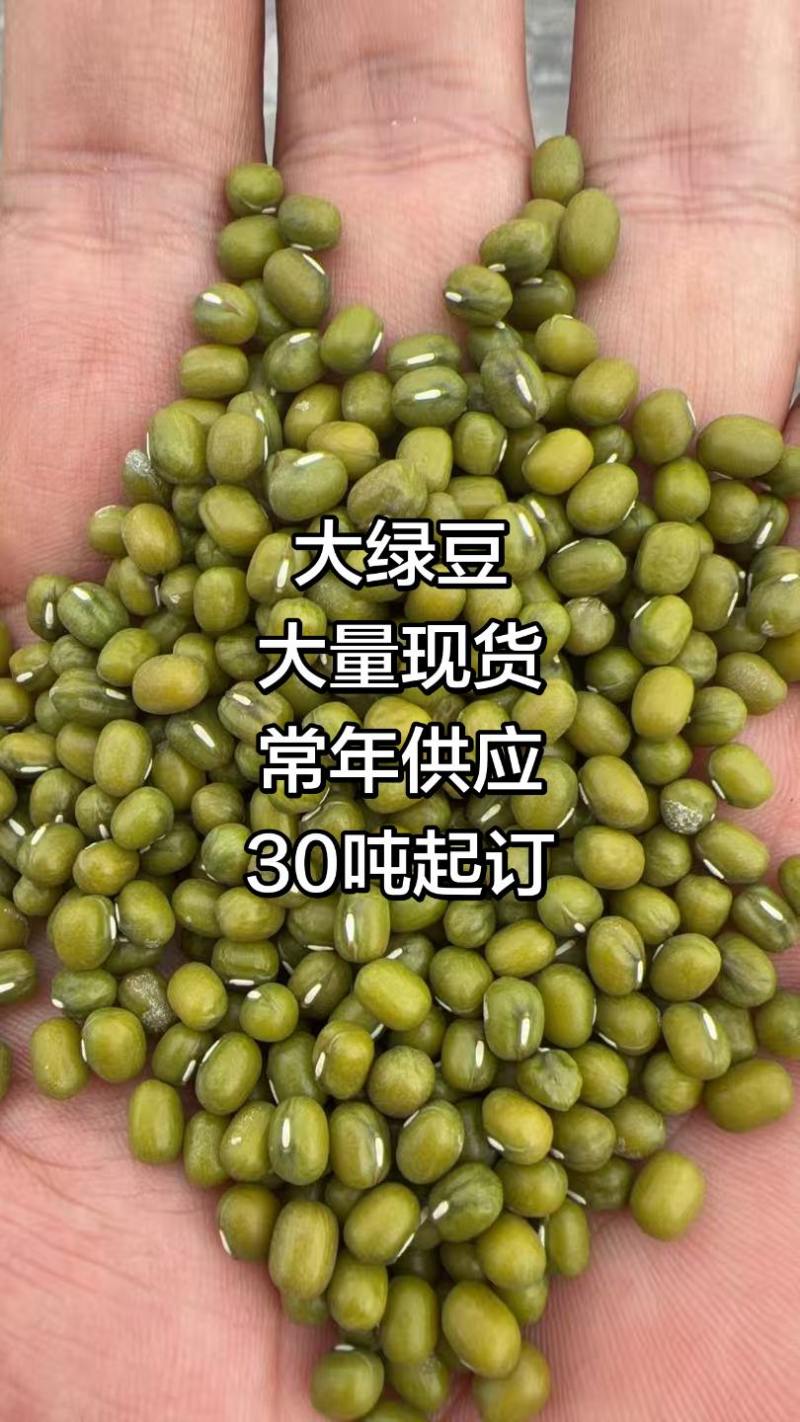 常年出售绿豆大绿豆30吨起订
