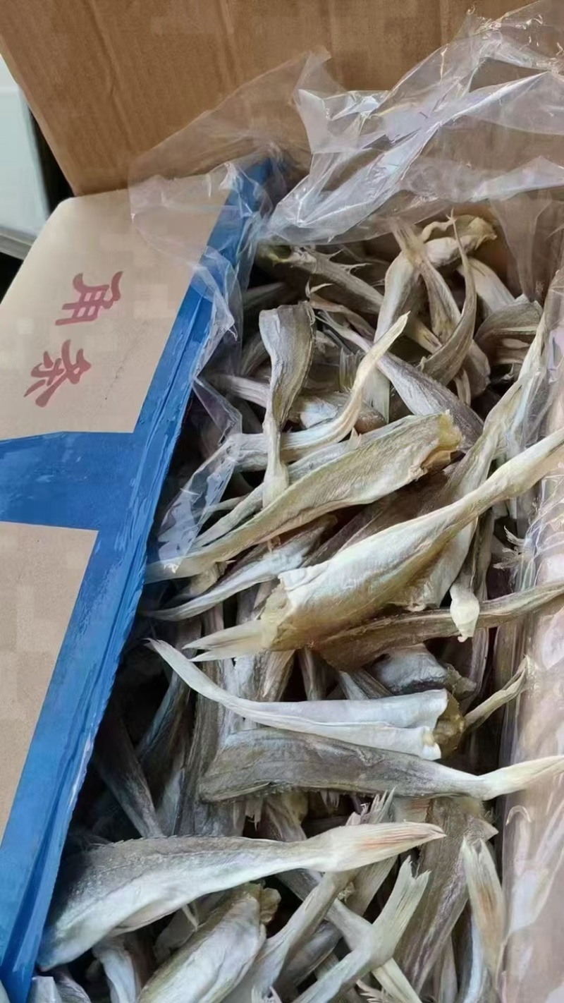 红娘鱼干角肉角条地摊电商批发角肉淡干角条红娘鱼干