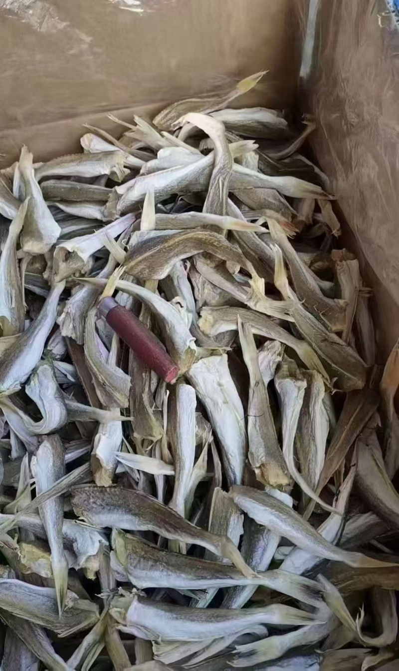 红娘鱼干角肉角条地摊电商批发角肉淡干角条红娘鱼干