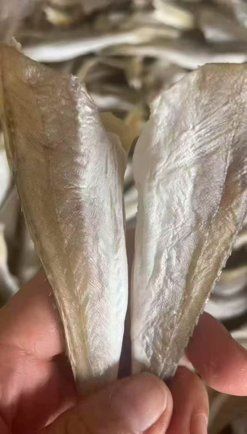 红娘鱼干角肉角条地摊电商批发角肉淡干角条红娘鱼干