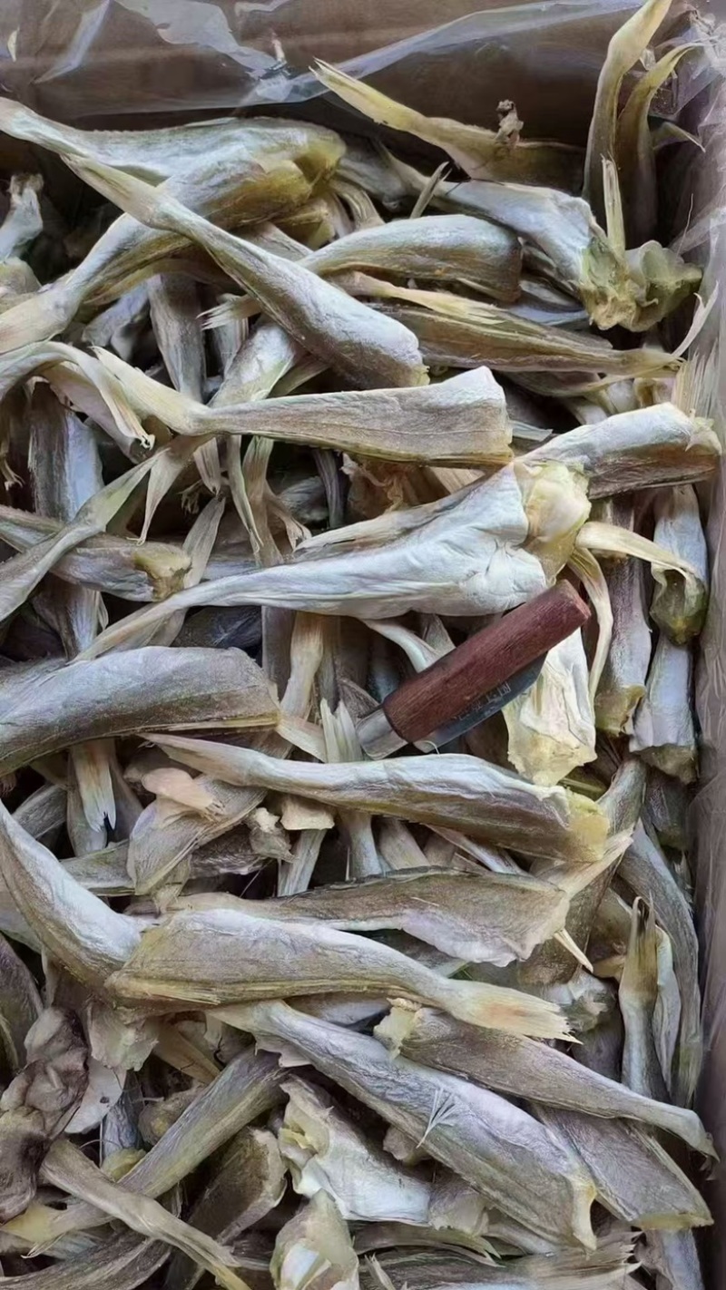 红娘鱼干角肉角条地摊电商批发角肉淡干角条红娘鱼干