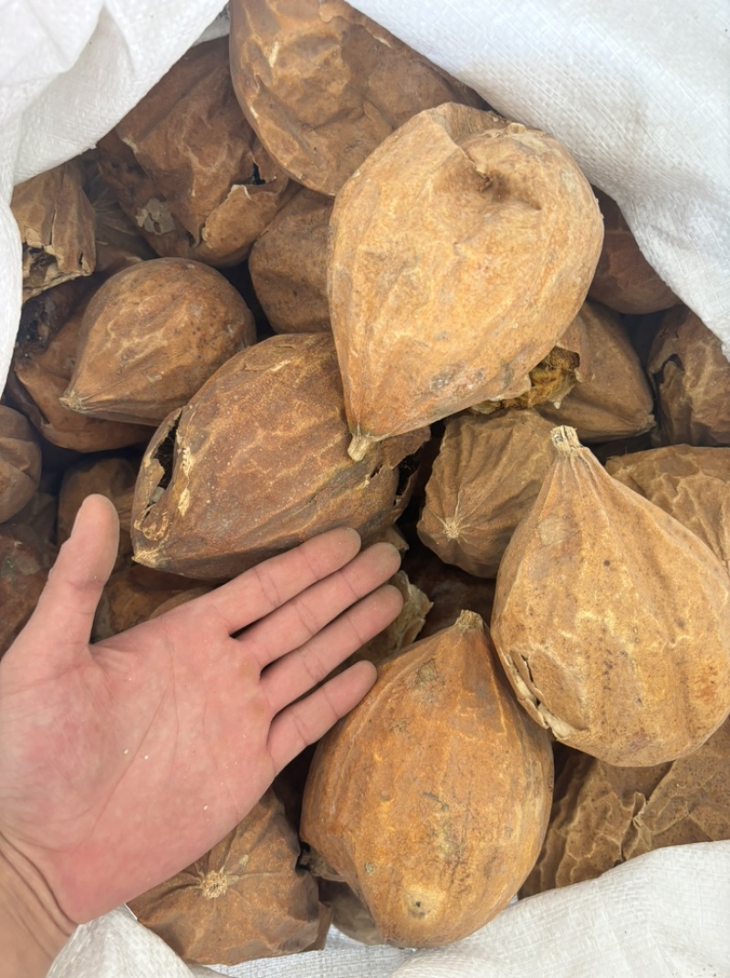 瓜蒌正宗野生全瓜蒌中药材瓜蒌无硫瓜蒌片瓜蒌条
