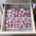 精品新干蒜紫皮白皮出口贸易，市场批发保质保量。