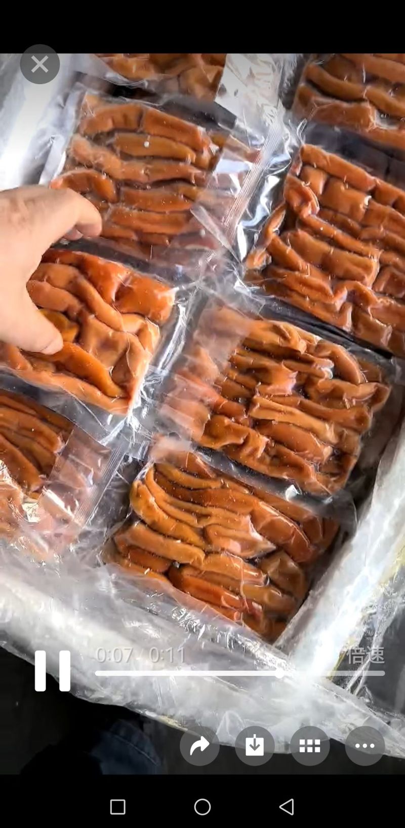 海肠，电商海肠皮，去脏海肠，海肠厂家直销