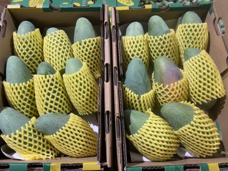 贵妃芒，金煌芒，台农