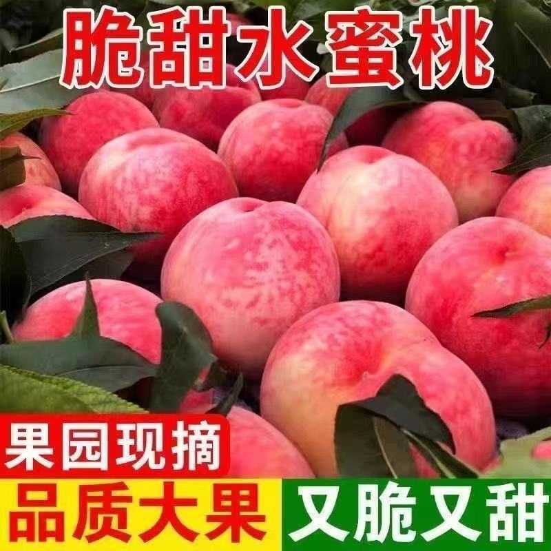 毛桃，果肉多为白/粉红色，分脆桃、软桃、红肉血桃等品种