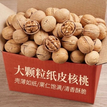 【净重】新货烤熟核桃草本核桃薄皮新疆纸皮坚果薄壳奶香核桃
