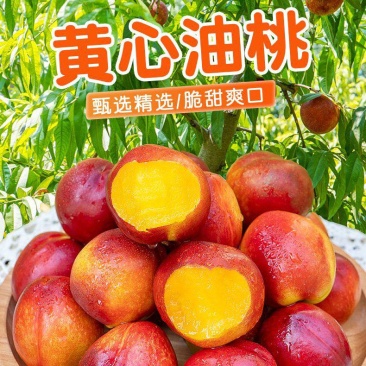 桃子，各类黄桃，油桃，毛桃