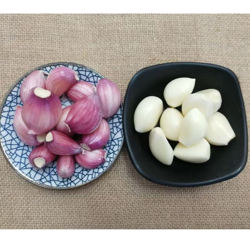 精品新干蒜紫皮白皮出口贸易，市场批发保质保量。