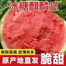 精品无籽美都西瓜，产地直发，诚信经营，可视频看货，量大从优