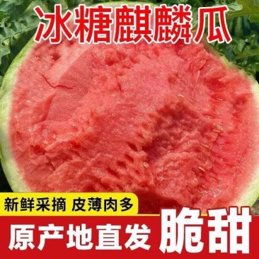 精品无籽美都西瓜，产地直发，诚信经营，可视频看货，量大从优