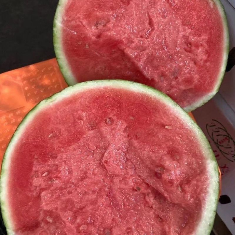 无籽美都麒麟瓜，一手货源，全国发货，可对接各大批发市场