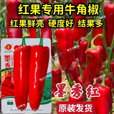豫艺墨秀红牛角椒种子红椒专用辣椒种子早熟抗病春秋大牛角椒