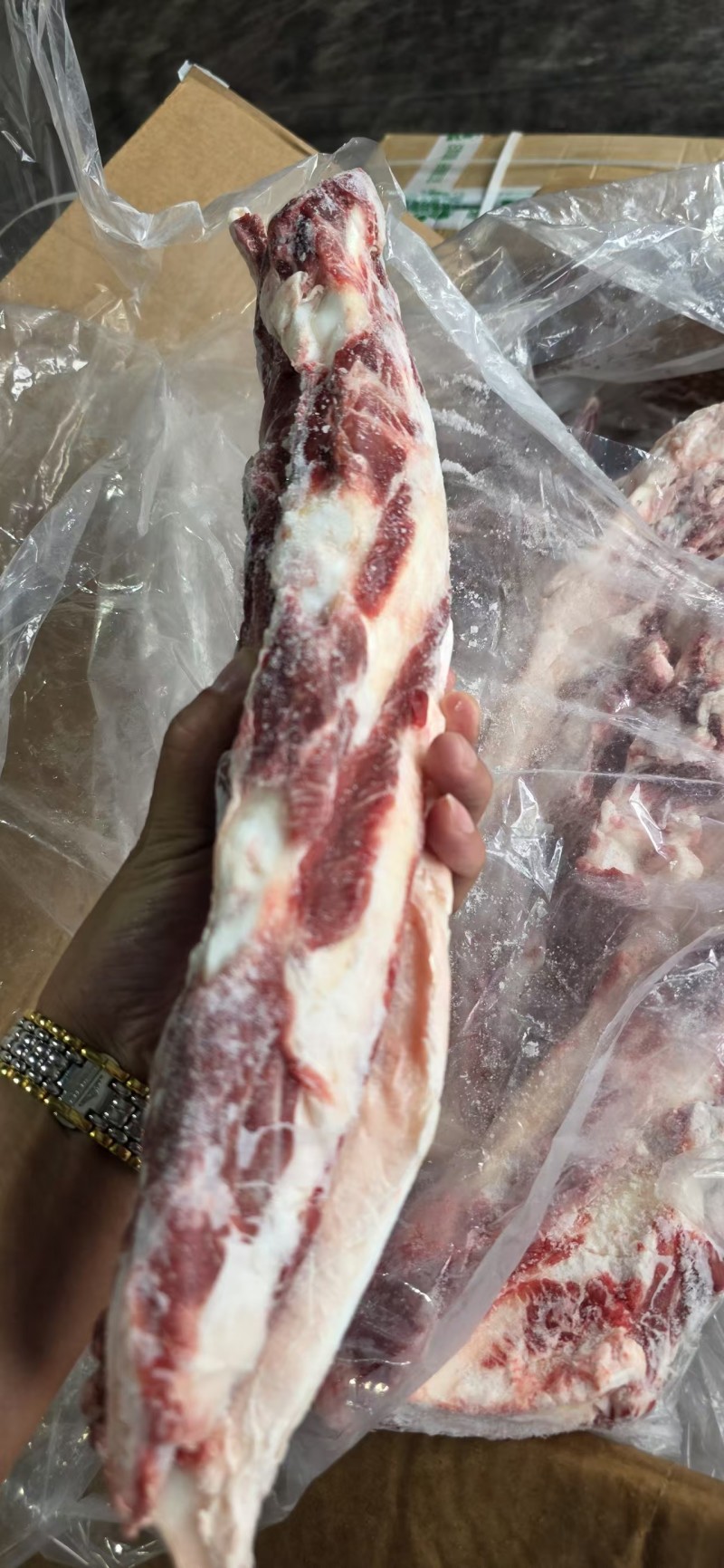 国产牛燕翅骨带肉带脆骨