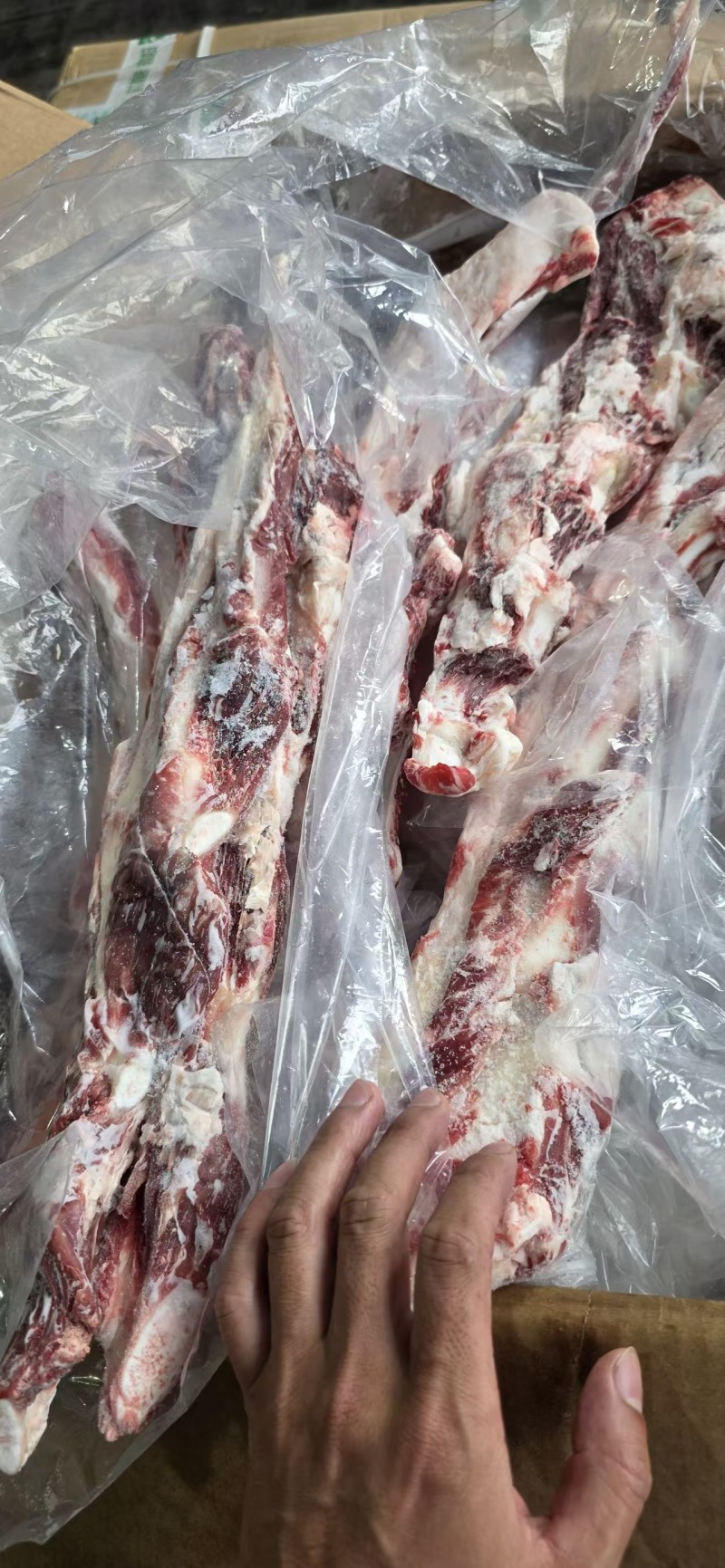 国产牛燕翅骨带肉带脆骨