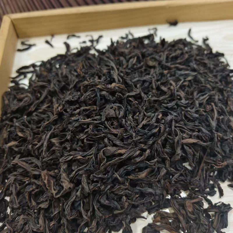 武夷山生态高山云雾茶