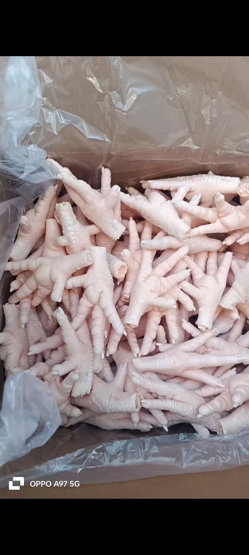 凤爪