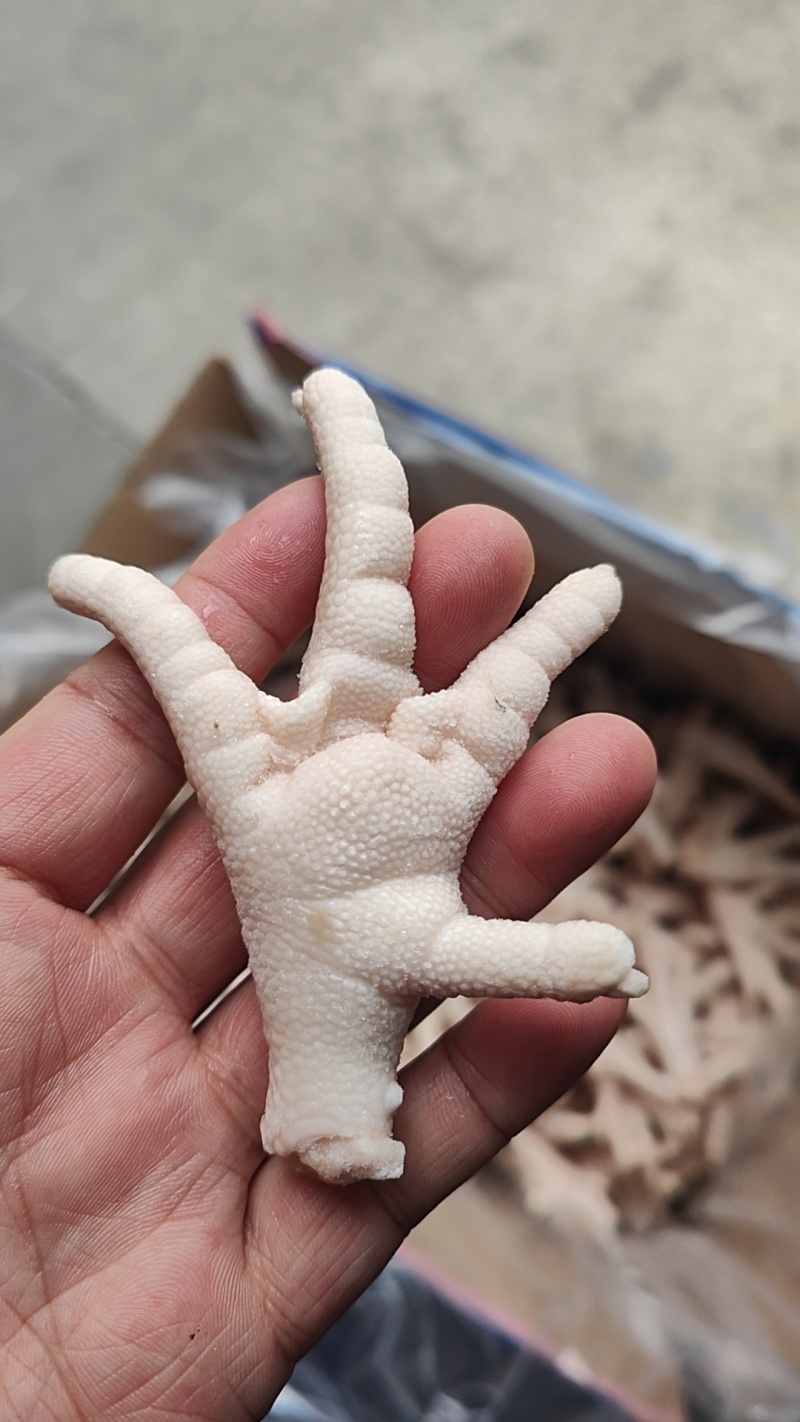 凤爪
