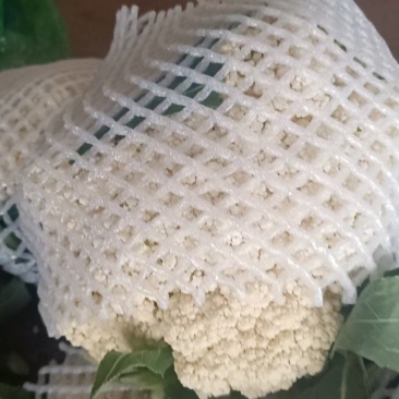 精品有机松花菜