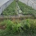 余姚8424现货6-12，需要的联系