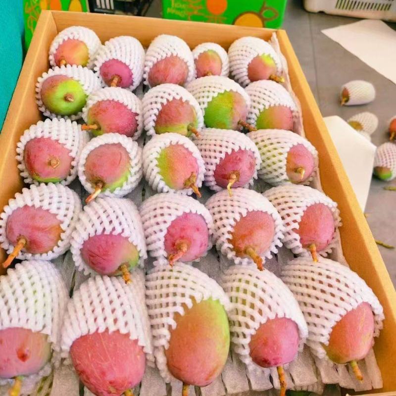 【贵妃芒】正宗广西百色贵妃芒产地现摘现发精品芒果