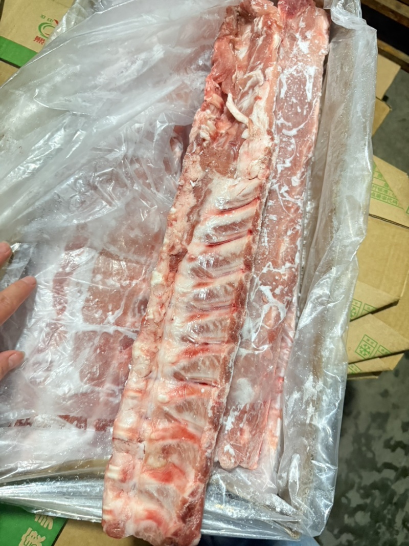 肥猪单边龙骨