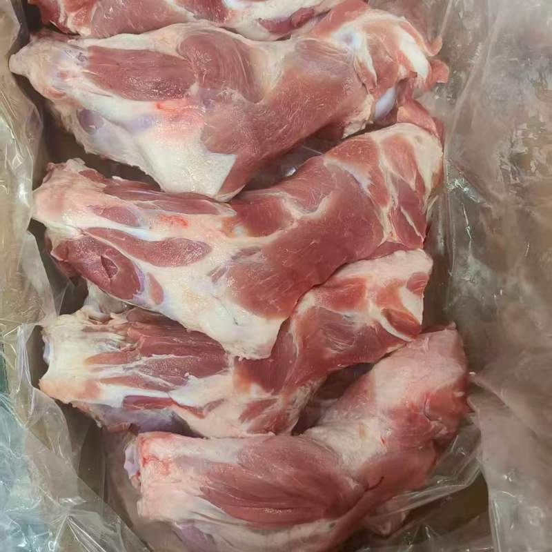 肥猪带健前腿骨