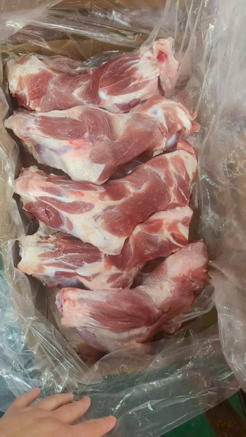 肥猪带健前腿骨