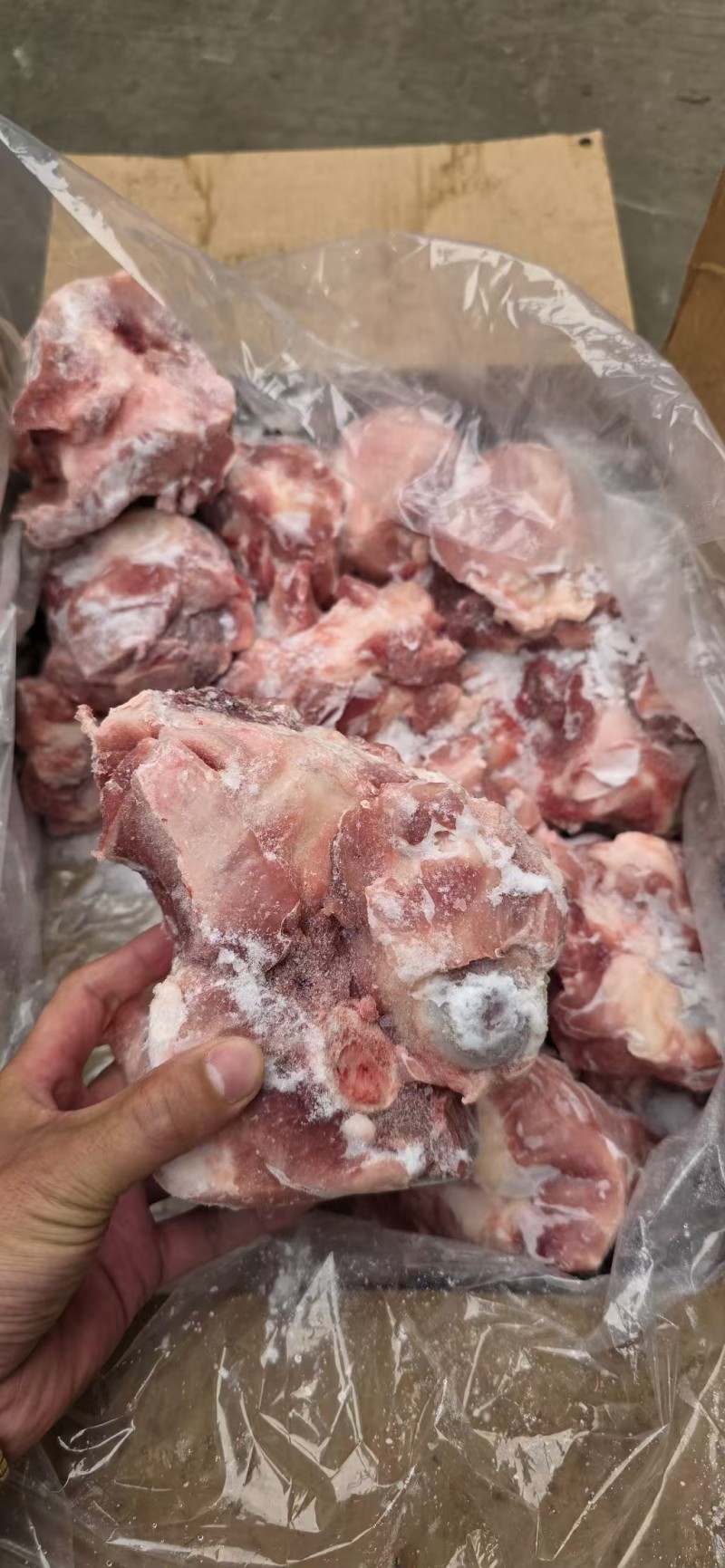 满肉前肉骨