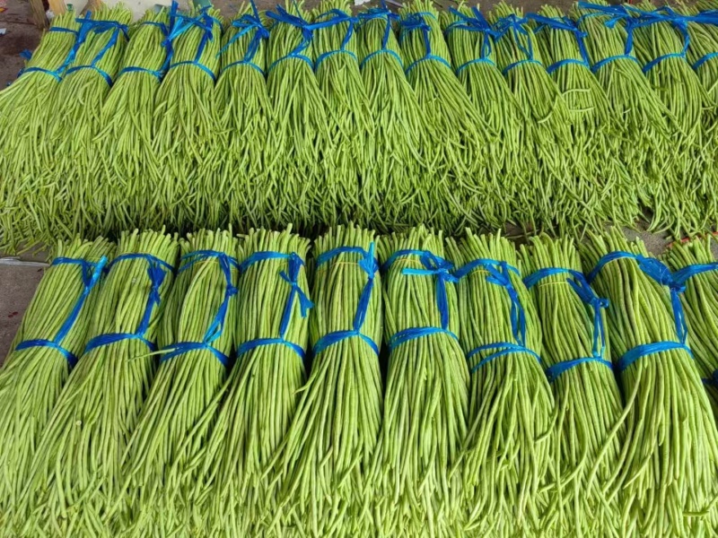 产地直发一手货源质量保证走市场商超加工厂大量供应