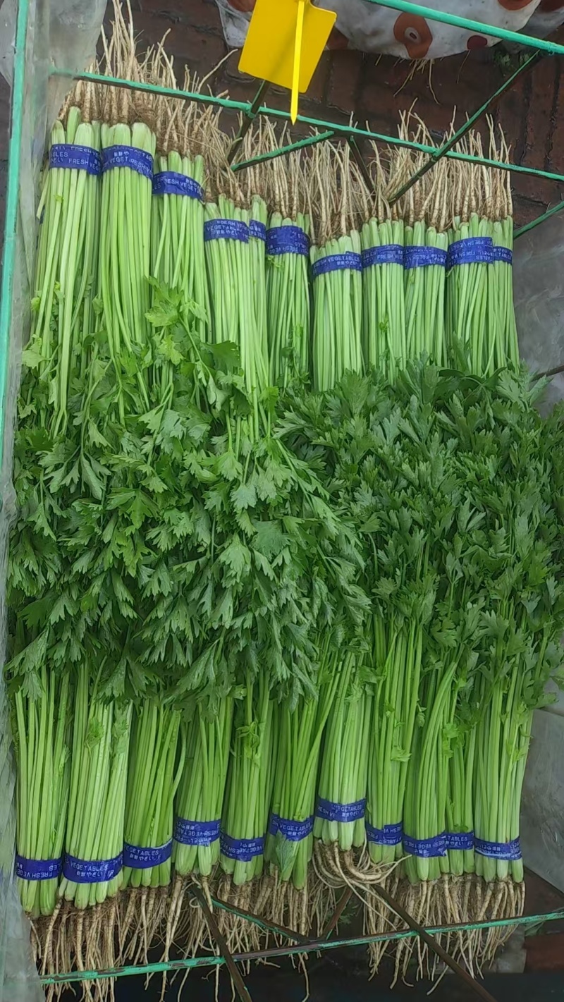 精品香芹