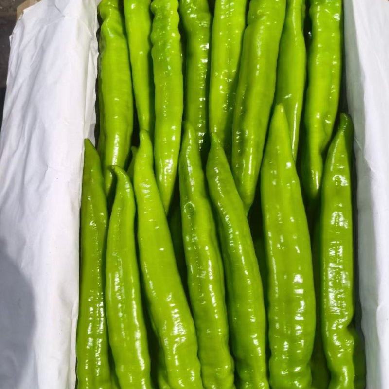 羊尖椒