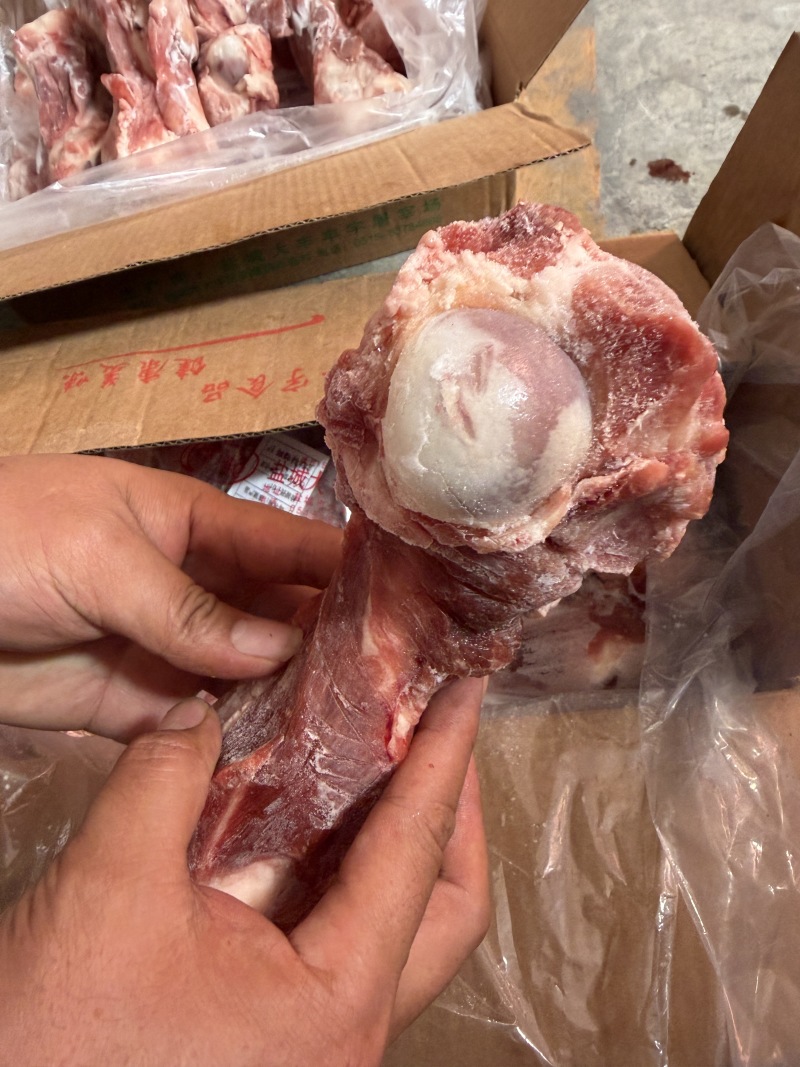满肉前棒骨