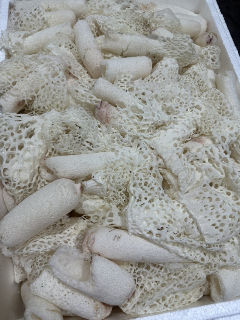 精选竹荪断条肉质厚实鲜香浓郁大量现货供应