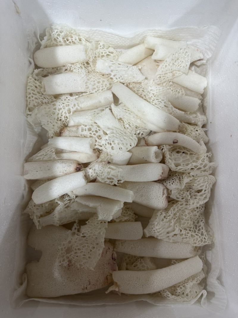 精选竹荪断条肉质厚实鲜香浓郁大量现货供应