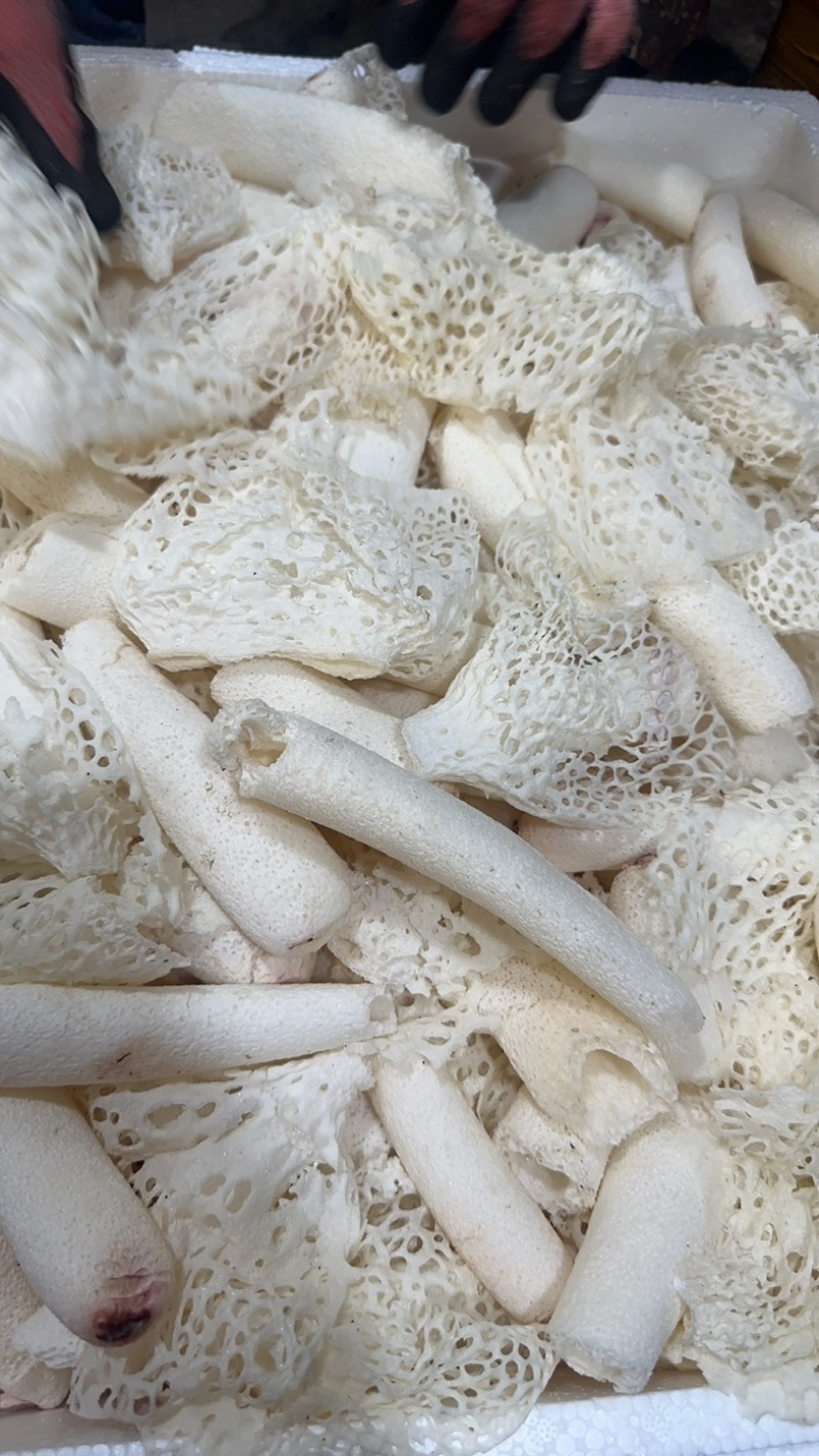 精选竹荪断条肉质厚实鲜香浓郁大量现货供应