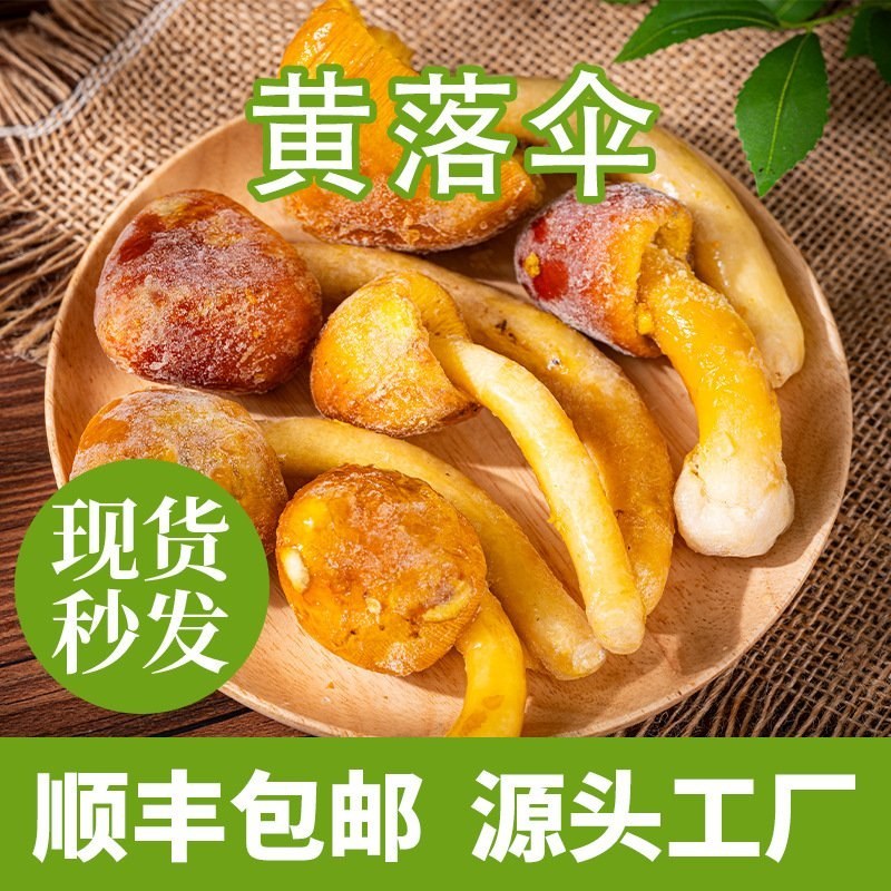 黄落伞速冻黄鸡枞产地批发食用菌菇冷冻火锅店酒店餐饮供应优