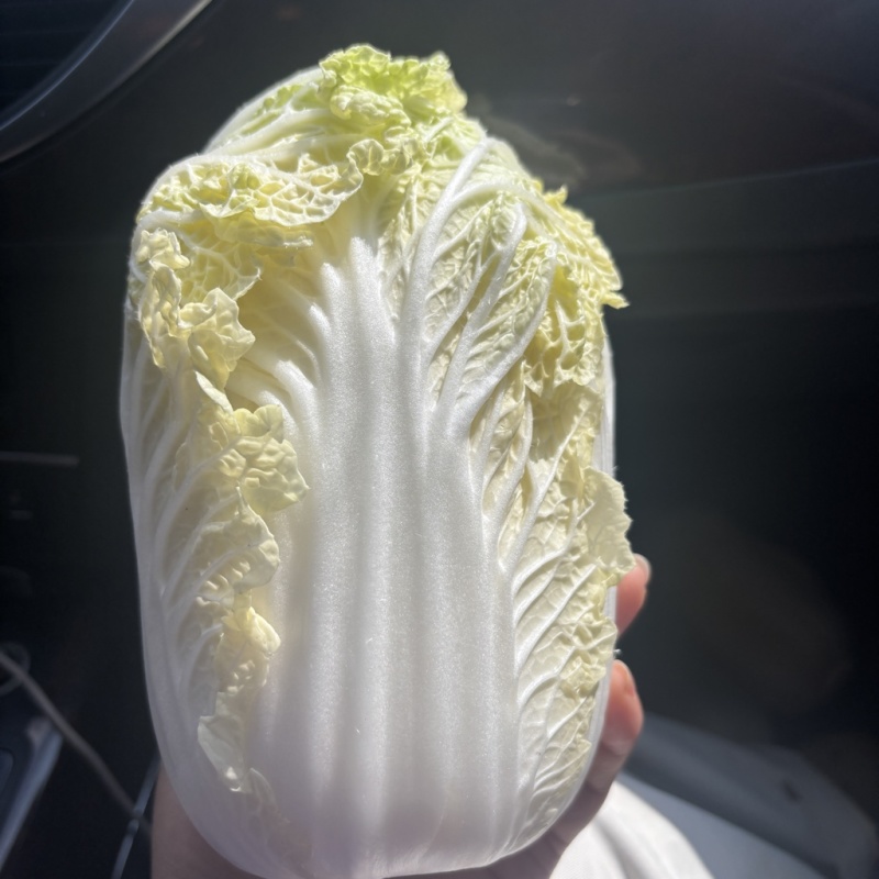 娃娃菜
